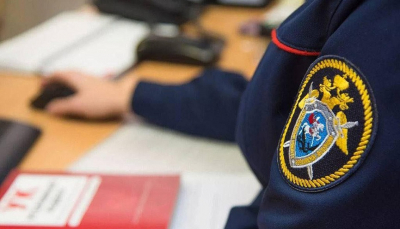 Тимофеев, Петриченко, новгородская прокуратура, Ольга Иванова &mdash; вся цепочка лжи об опеке